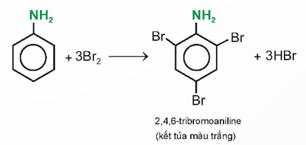 Có thể phân biệt aniline với benzene bằng phản ứng với nước bromine không? Giải thích. (ảnh 1)