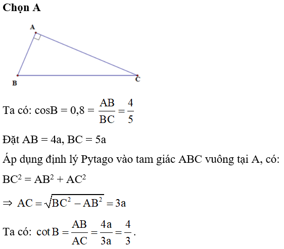 Cho tam giác ABC vuông tại A. Biết cosB = 0,8. Khi đó cotB bằng: (ảnh 1)