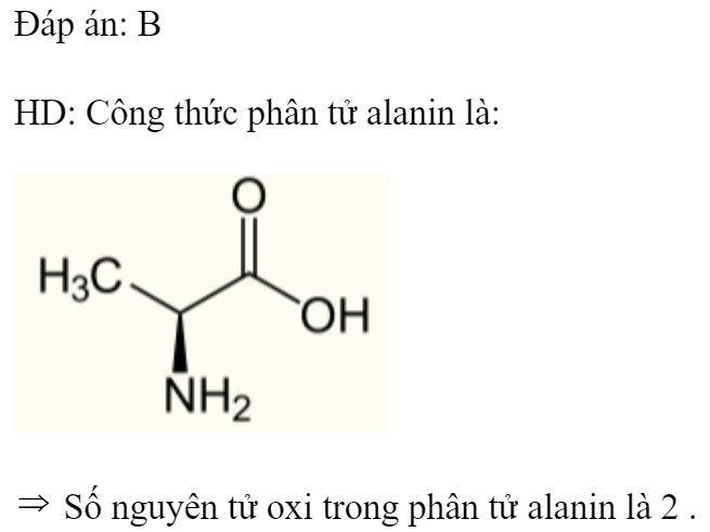 Số nguyên tử oxi trong phân tử alanin là 	A. 4.	B. 2.	C. 1.	D. 3. Đáp án: B HD: Công thức phân tử alanin là:   Số nguyên tử oxi trong phân tử alanin là 2 . (ảnh 1)