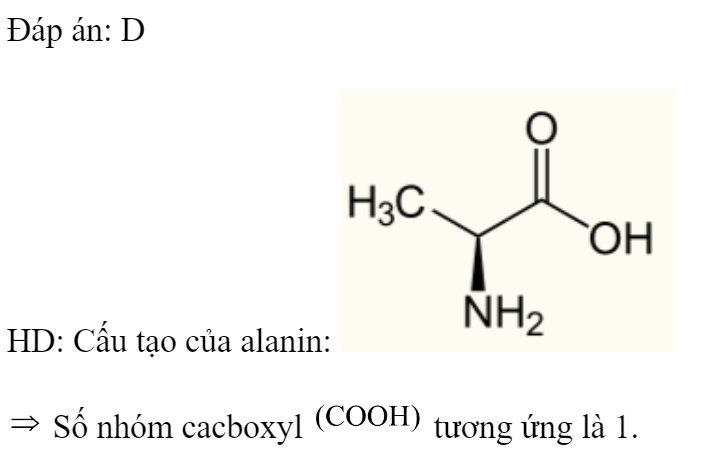 Số nhóm cacboxyl  trong phân tử alanin là 	A. 3.	B. 4.	C. 2.	D. 1. Đáp án: D HD: Cấu tạo của alanin:   Số nhóm cacboxyl  tương ứng là 1. (ảnh 1)
