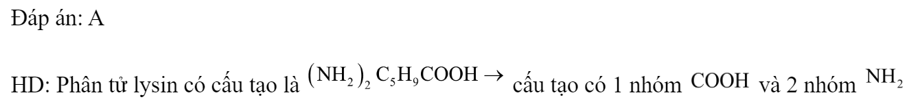 Số nhóm cacboxyl và amino trong một phân tử lysin lần lượt là 	A. 1 và 2.	B. 2 và 3.	C. 2 và 2.	D. 2 và 1. Đáp án: A HD: Phân tử lysin có cấu tạo là  cấu tạo có 1 nhóm  và 2 nhóm  (ảnh 1)