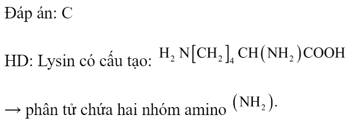 Amino axit nào sau đây có hai nhóm amino? 	A. Valin.		B. Axit glutamic. 	C. Lysin.		D. Alanin. Đáp án: C HD: Lysin có cấu tạo:  → phân tử chứa hai nhóm amino  (ảnh 1)