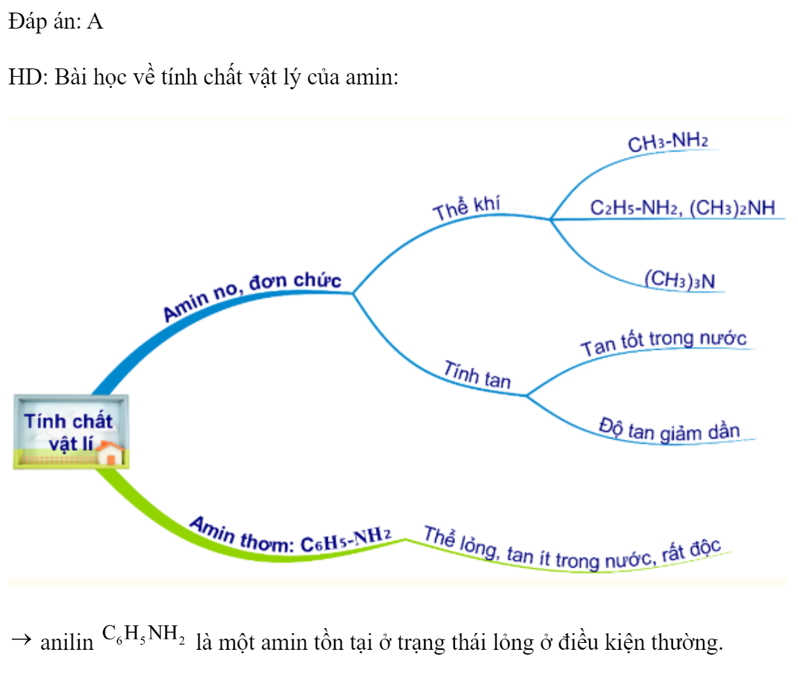 Amin tồn tại ở trạng thái lỏng trong điều kiện thường là A. anilin.		B.đimetylamin. 	C. etylamin.		D. metylamin. Đáp án: A HD: Bài học về tính chất vật lý của amin:   anilin  là một amin tồn tại ở trạng thái lỏng ở điều kiện thường. (ảnh 1)