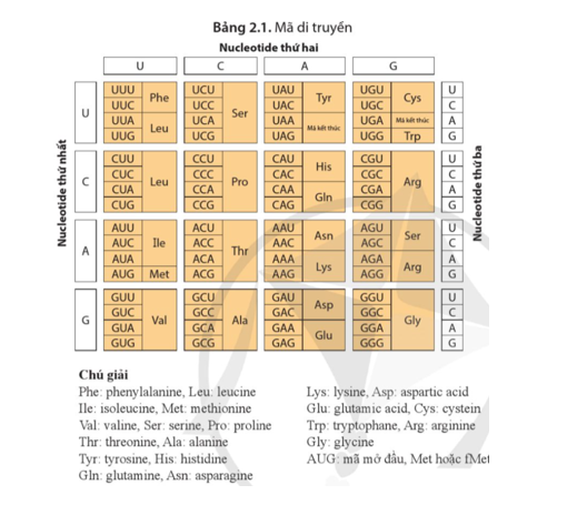 Dựa vào bảng 2.1, hãy nêu một số ví dụ minh hoạ cho tính đặc hiệu (ảnh 1)