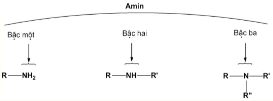 Chất nào sau đây thuộc loại amin bậc một? 	A. 		B.  	C. 		D.  Đáp án: B HD: Bài học bậc amin:   tương ứng  : etylamin là amin bậc hai.  (ảnh 1)