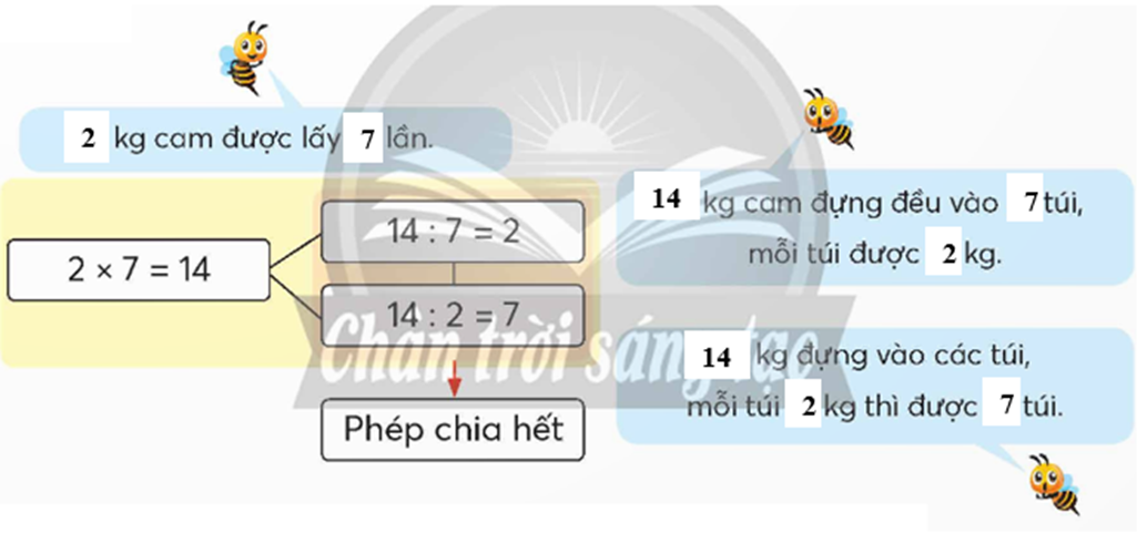 Dựa vào hình ảnh dưới đây, thực hiện các yêu cầu. a) Viết tổng các số hạng bằng nhau để tìm khối lượng cam của 7 túi. (ảnh 3)