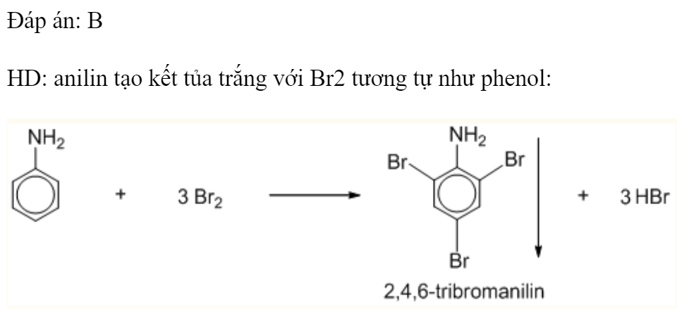 Nhỏ vài giọt nước brom vào ống nghiệm đựng 2 ml dung dịch chất X, lắc nhẹ thấy có kết tủa trắng. Chất X là 	A. etanol.	B. anilin.	C. glixerol.	D. axit axetic. Đáp án: B HD: anilin tạo kết tủa trắng với Br2 tương tự như phenol: (ảnh 1)
