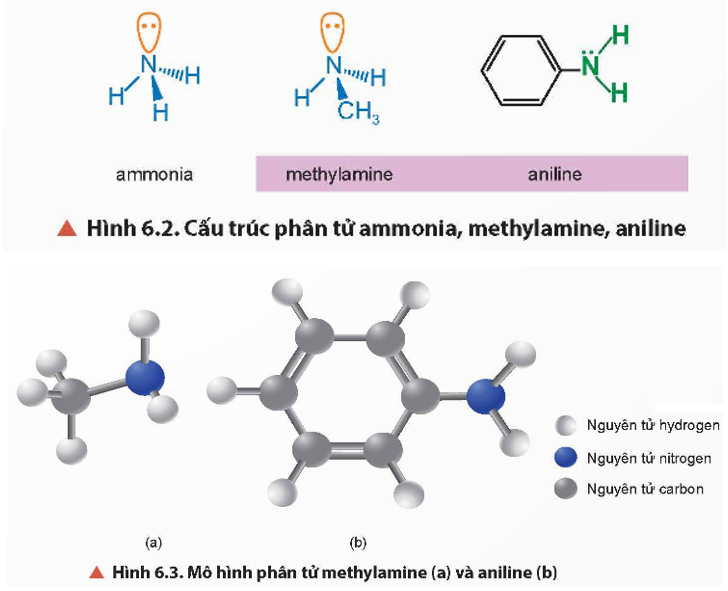 Quan sát Hình 6.2 và Hình 6.3, cho biết hình dạng phân tử của methylamine và aniline. (ảnh 1)