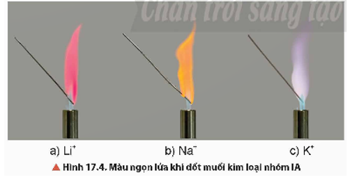 Quan sát thí nghiệm thử màu ngọn lửa, nêu hiện tượng quan sát được. Rút ra kết luận. (ảnh 1)