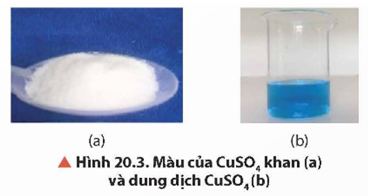 Quan sát Hình 20.3, hãy cho biết màu sắc của dung dịch CuSO4. Màu sắc đó là của phức chất aqua nào?   (ảnh 1)
