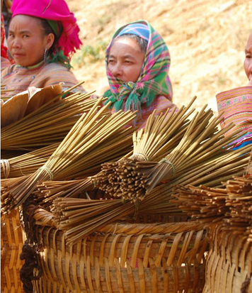 Sưu tầm tranh ảnh, bài viết về đồ dùng hoặc đồ thủ công mĩ nghệ của một dân tộc thiểu số trên đất nước Việt Nam. (ảnh 1)