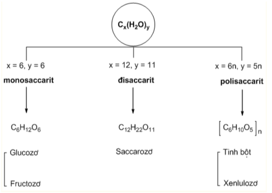 Cho dãy các chất: tinh bột, xenlulozơ, glucozơ, fructozơ, saccarozơ. Số chất trong dãy thuộc loại polisaccarit là A. 3.	B. 1.	C. 4.	D. 2. Đáp án: D HD: Bài học phân loại:  Có 2 chất trong dāy thuộc loại polisaccarit là xenlulozơ và tinh bột → Chọn đáp án D. (ảnh 1)
