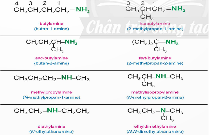 Nghiên cứu Ví dụ 1, cho biết amine có loại đồng phân nào. Phân tích cách gọi tên amine theo 2 loại danh pháp đã nêu. Ví dụ 1: (ảnh 1)