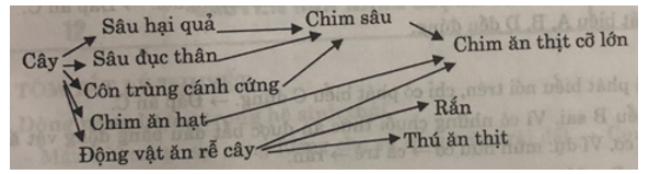 Lưới thức ăn của một quần xã sinh vật trên cạn được mô tả như sau: Các (ảnh 1)