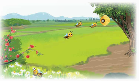 Thời gian bay của một con ong cả đi và về từ tổ đến cánh đồng hoa là 17 phút 12 giây. Hỏi trung bình con ong đó bay từ tổ đến cánh đồng hoa hết bao nhiêu thời gian? (ảnh 1)