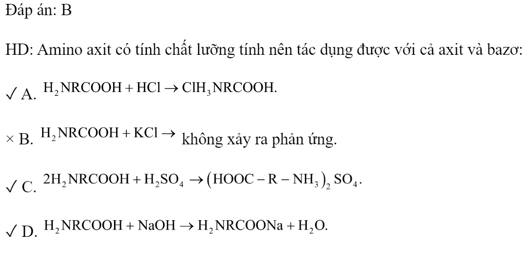 Axit aminoaxetic không tác dụng với dung dịch chất nào sau đây? 	A. HCl.	B. KCl.	C.  loãng.	D. NaOH. Đáp án: B HD: Amino axit có tính chất lưỡng tính nên tác dụng được với cả axit và bazơ: ✓ A.  × B.  không xảy ra phản ứng. ✓ C.  ✓ D.  (ảnh 1)