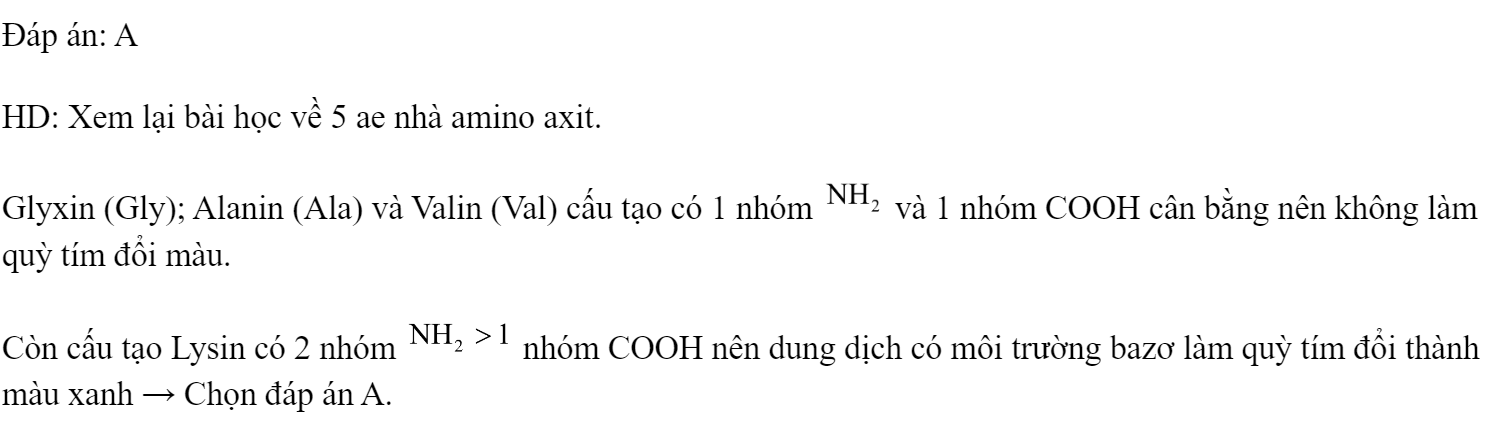 Chất nào sau đây làm đổi màu quỳ tím? 	A. Lysin.	B. Glyxin.	C. Alanin.	D. Valin. Đáp án: A HD: Xem lại bài học về 5 ae nhà amino axit. Glyxin (Gly); Alanin (Ala) và Valin (Val) cấu tạo có 1 nhóm  và 1 nhóm COOH cân bằng nên không làm quỳ tím đổi màu. Còn cấu tạo Lysin có 2 nhóm  nhóm COOH nên dung dịch có môi trường bazơ làm quỳ tím đổi thành màu xanh → Chọn đáp án A. (ảnh 1)