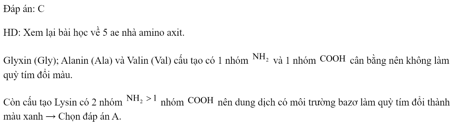 Dung dịch nào sau đây làm quỳ tím đổi thành màu xanh? 	A. Dung dịch alanin.		B. Dung dịch glyxin. 	C. Dung dịch lysin.		D. Dung dịch valin. Đáp án: C HD: Xem lại bài học về 5 ae nhà amino axit. Glyxin (Gly); Alanin (Ala) và Valin (Val) cấu tạo có 1 nhóm  và 1 nhóm  cân bằng nên không làm quỳ tím đổi màu. Còn cấu tạo Lysin có 2 nhóm  nhóm  nên dung dịch có môi trường bazơ làm quỳ tím đổi thành màu xanh → Chọn đáp án A. (ảnh 1)