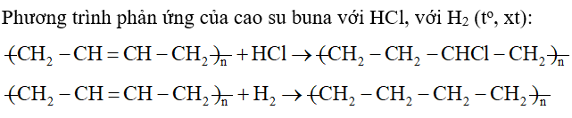 Viết phương trình phản ứng của cao su buna với HCl, với H2 (to, xt). (ảnh 1)