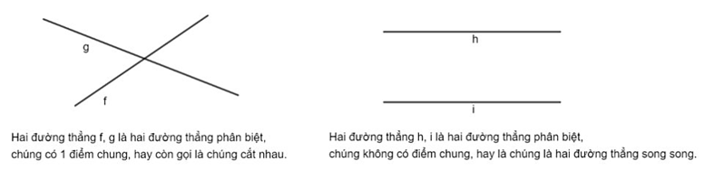 Đường thẳng phân biệt là gì? Cho ví dụ. (ảnh 1)