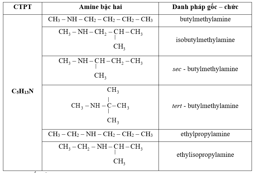 Viết công thức cấu tạo và gọi tên theo danh pháp gốc – chức các amine bậc hai có công thức phân tử C5H13N. (ảnh 1)
