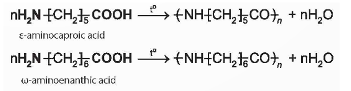 Trong Ví dụ 5, cho biết những nhóm chức nào của amino acid tham gia phản ứng trùng ngưng. Ví dụ 5:   (ảnh 1)