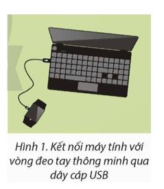 Em hãy kết nối vòng đeo tay thông minh với điện thoại thông minh để theo dõi các thông tin như Nhiệm vụ 1 ở Thực hành. (ảnh 1)