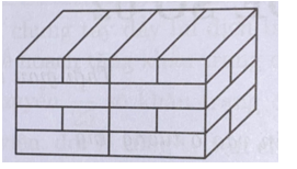 Mỗi viên gạch dạng hình hộp chữ nhật có chiều dài 20 cm, chiều rộng 10 cm, chiều cao 5 cm.  (ảnh 1)
