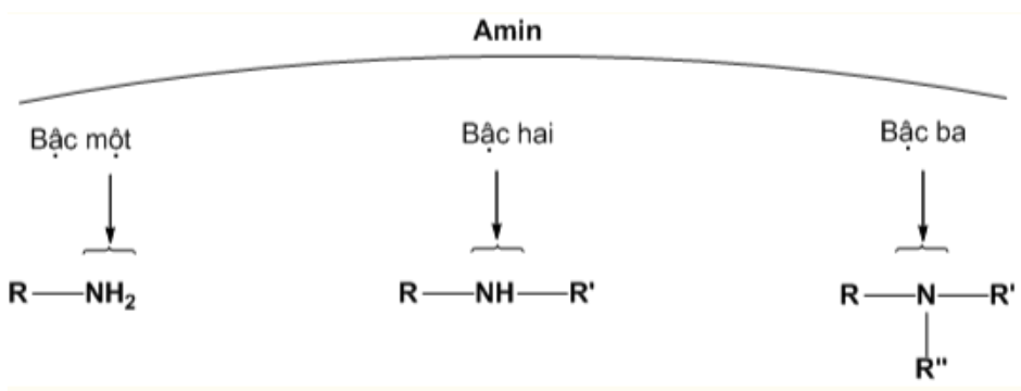Chất nào sau đây thuộc loại amin bậc 3? 	A. 		B. 	 	C. 		D.  Đáp án: A HD: Bài học bậc amin:   tương ứng  : trimetylamin là amin bậc ba. (ảnh 1)