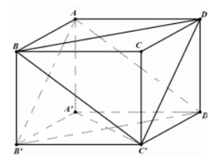 Cho hình hộp ABCD.A'B'C'D'. Đường thẳng BC song song với mặt phẳng nào sau đây?   A. (DD'A'). B. (DCC'). C. (A'B'B). D. (ABD). (ảnh 1)