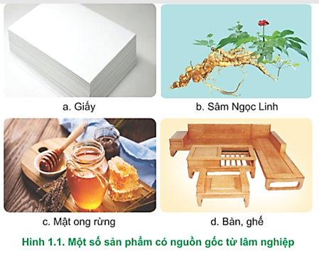 Hãy nêu công dụng của các sản phẩm trong Hình 1.1.   (ảnh 1)