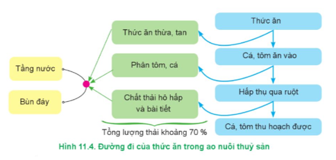 Dựa vào Hình 11.4, hãy phân tích đường đi của thức ăn trong ao nuôi thuỷ sản.   (ảnh 1)