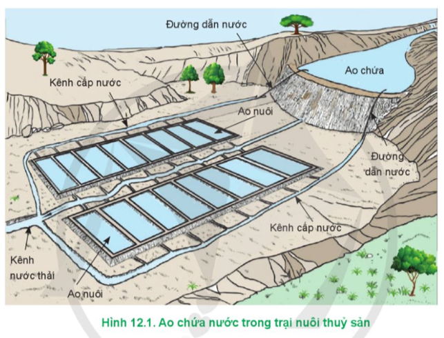 Dựa vào Hình 12.1, hãy mô tả đặc điểm cơ bản của ao chứa trong trại nuôi.   (ảnh 1)