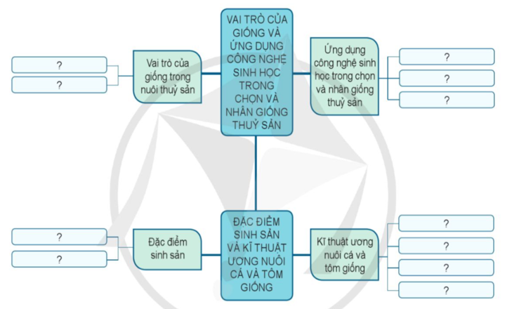 Hãy hoàn thành sơ đồ theo mẫu dưới đây: (ảnh 1)