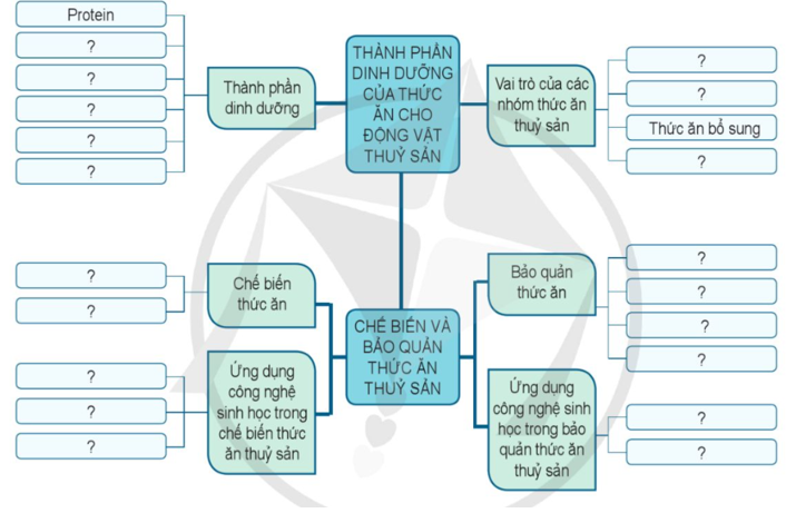 Hãy hoàn thành sơ đồ theo mẫu dưới đây: (ảnh 1)