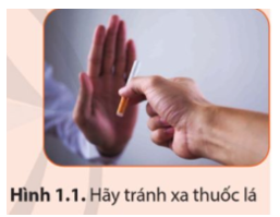 Khói thuốc lá sẽ gây ảnh hưởng trong phạm vi bán kính 7m - 10 m. Những người ở trong khoảng cách này với người hút (ảnh 1)