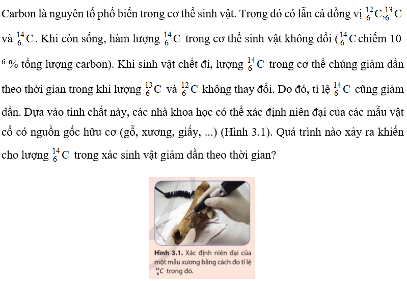 Carbon là nguyên tố phổ biến trong cơ thể sinh vật. Trong đó có lẫn cả đồng vị  (ảnh 1)