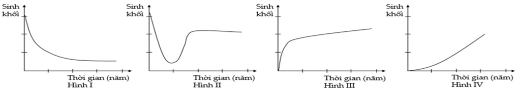 Giả sử sự thay đổi sinh khối trong quá trình diễn thế sinh thái của bốn quần xã sinh vật được mô tả (ảnh 1)