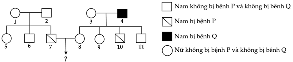 Cho phả hệ như hình sau (ảnh 1)