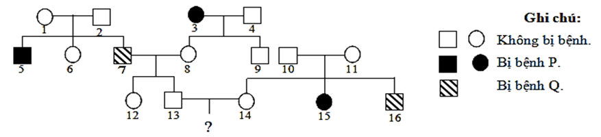 Sơ đồ phả hệ dưới đây mô tả 2 bệnh di truyền ở người (ảnh 1)