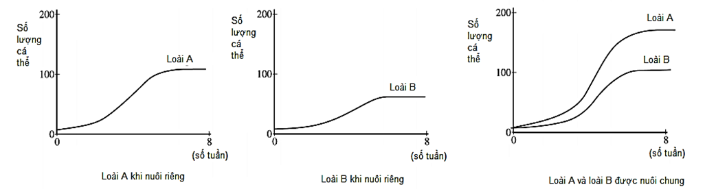 Khi nghiên cứu mối quan hệ sinh thái giữa 2 loài vi sinh vật (A và B), (ảnh 1)