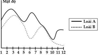 Đồ thị bên dưới đây mô tả biến động số lượng cá thể của 2 loài trong 1 quần xã (ảnh 1)