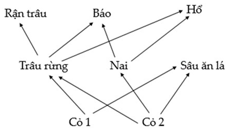 Giả sử lưới thức ăn trong 1 hệ sinh thái được mô tả ở hình bên (ảnh 1)