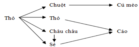 Giả sử một lưới thức ăn được mô tả như sau: Thỏ, chuột, châu chấu và chim sẻ  (ảnh 1)