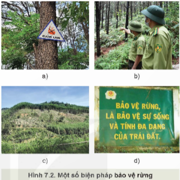 Kể tên các biện pháp bảo vệ rừng phù hợp với Hình 7.2. Nêu một số hoạt động nhằm nâng cao ý thức bảo vệ rừng phù hợp với lứa tuổi học sinh. (ảnh 1)