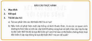 Học sinh viết báo cáo thực hành theo cá nhân hoặc nhóm với nội dung như sau: (ảnh 1)