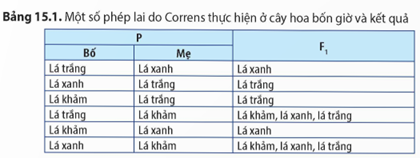 Quan sát Bảng 15.1, hãy nhận xét chung về kết quả các phép lai trong bảng và giải thích. (ảnh 1)