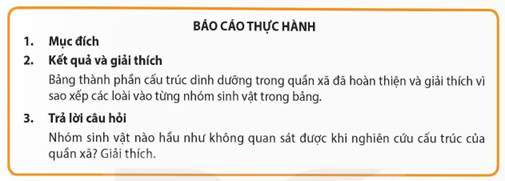 Các nhóm viết báo cáo thực hành theo mẫu sau: (ảnh 1)