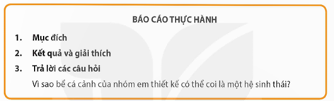 Các nhóm viết báo cáo thực hành theo mẫu sau: (ảnh 1)