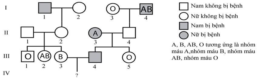 Ở người gen quy định nhóm máu có 3 alen nằm trên nhiễm sắc thể thường (ảnh 1)